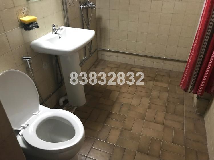 Serangoon Ville (Enbloc) (D19), Apartment #158111822